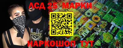 стафф Будённовск