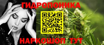 стафф Будённовск