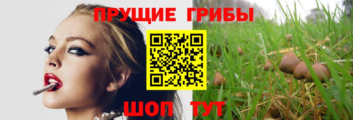 Псилоцибиновые грибы прущие грибы  Вход с VPN  Псилоцибиновые грибы Psilocybine cubensis  Саров 